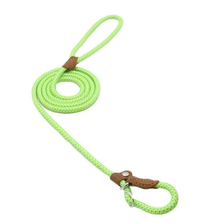 Conjunto de nailon para cachorro