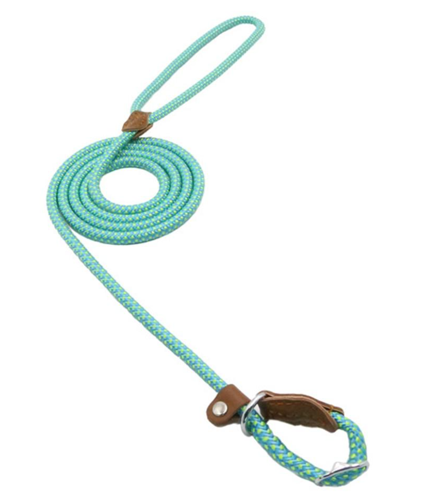 Conjunto de nailon para cachorro