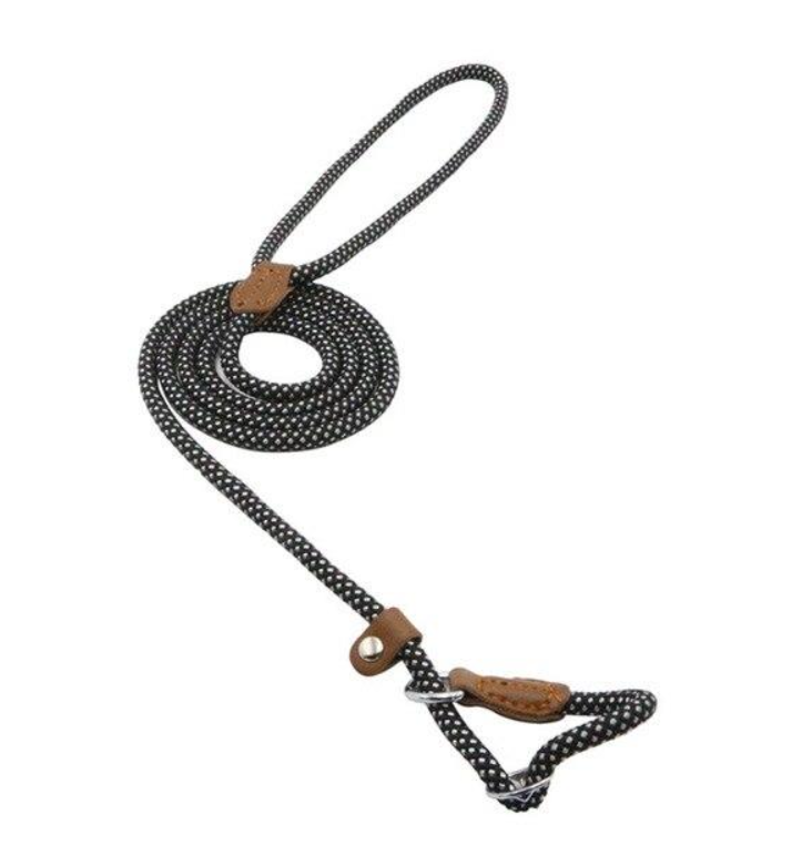 Conjunto de nailon para cachorro