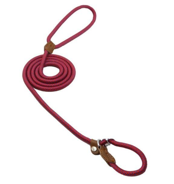 Conjunto de nailon para cachorro