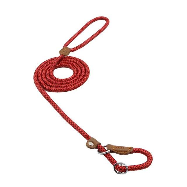Conjunto de nailon para cachorro