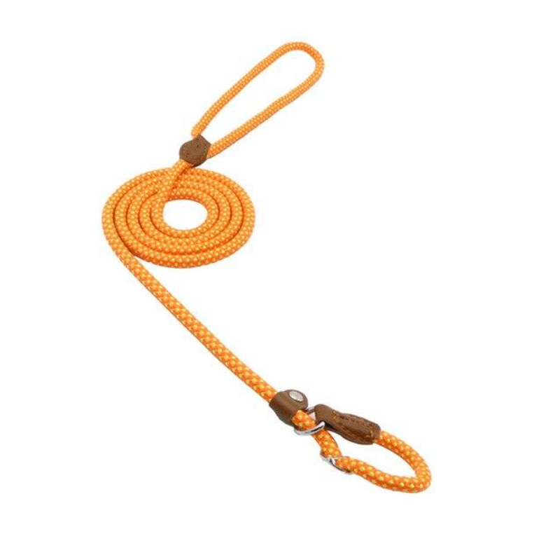 Conjunto de nailon para cachorro