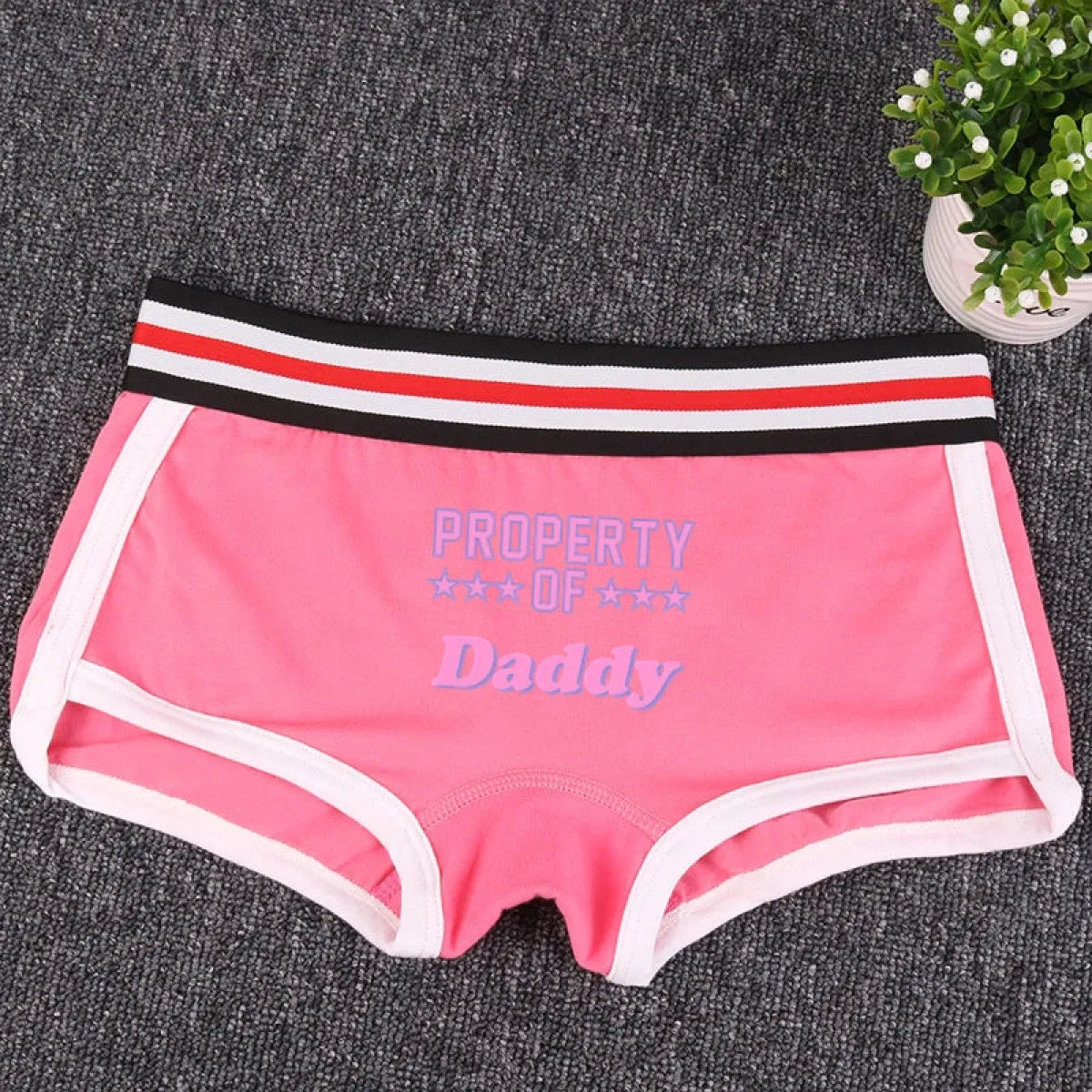 🎁 "PROPERTY OF DADDY" BoyShort - Cute Cotton Women's Underwear (100% off)